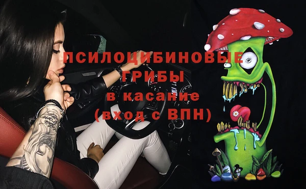 дурь Алексеевка