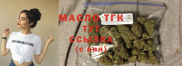 СК Алексин
