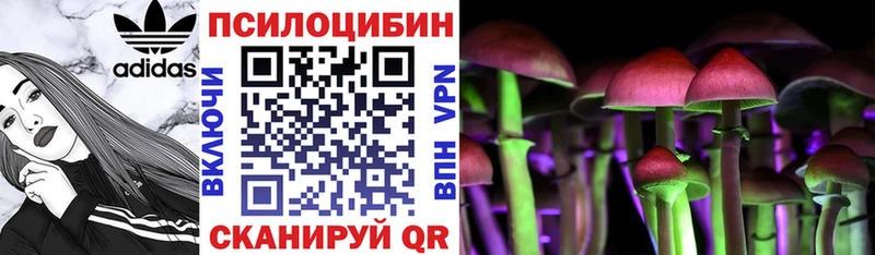 Псилоцибиновые грибы GOLDEN TEACHER сколько стоит Кувшиново