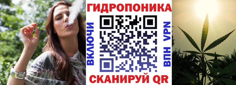Каннабис план  Кувшиново 